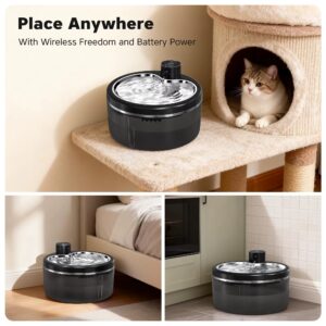 מזרקת מים לחתולים ולכלבים 3 ליטר