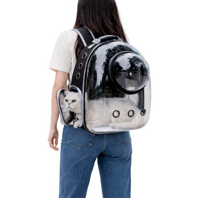 תיק נשיאה שקוף לחלל לחתולים